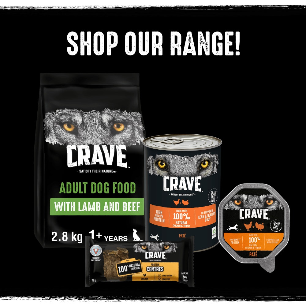CRAVE™ Natural Grain Free Adult Dog Food Tin Mixed in Loaf 6 x 40g - 5